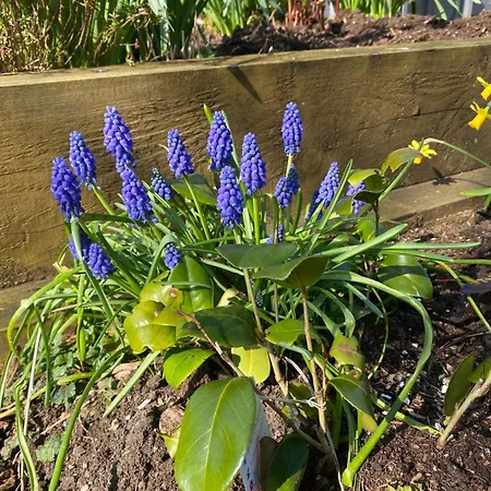 Idyllic Two Bed Country Semesterbostad *